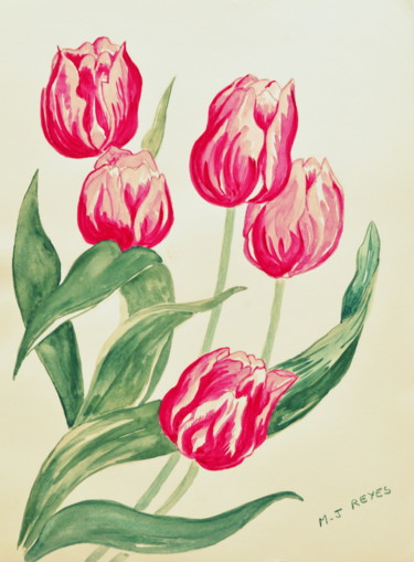 Tulipes "Flaming Flag"
